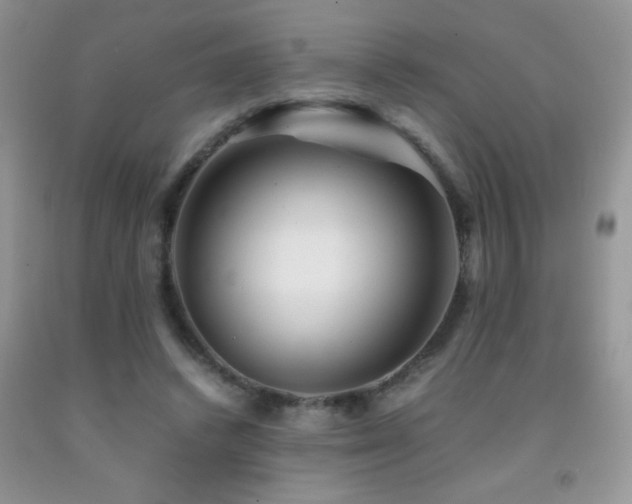 X0000092290448200709141303