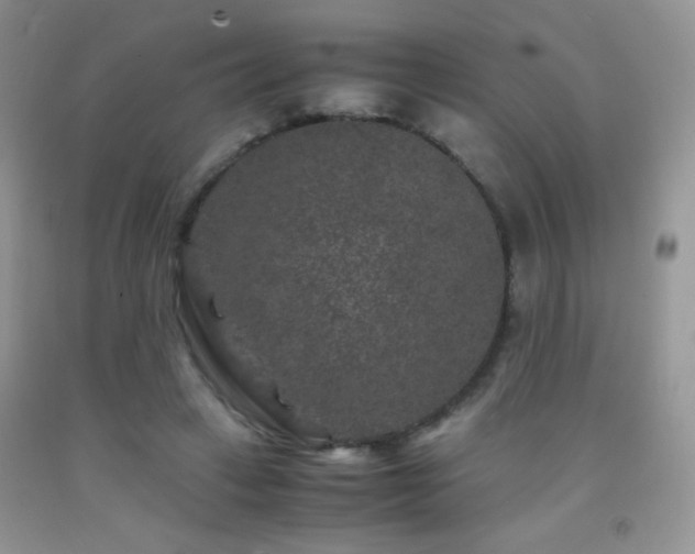 X0000092290449200709141303