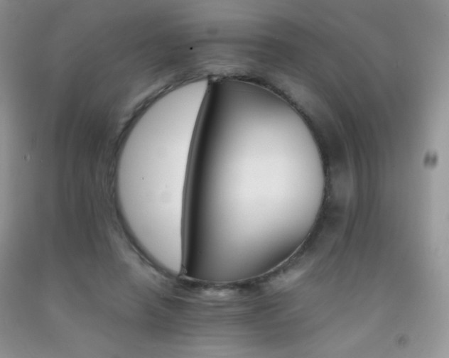 X0000092290450200709141303