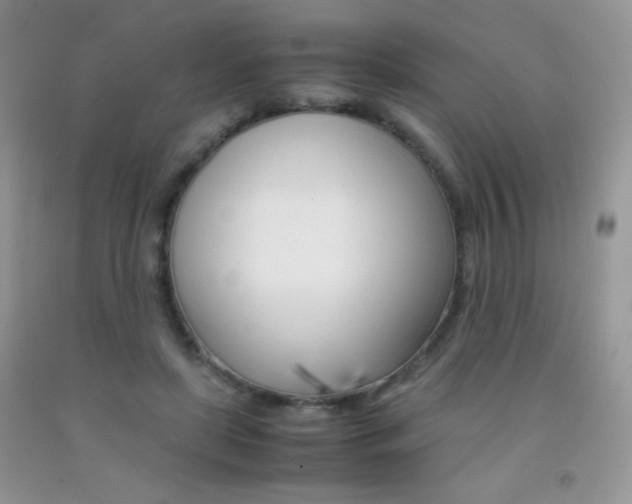 X0000092290451200709141303