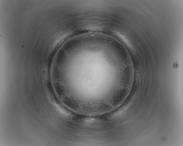 X0000092290453200709141303