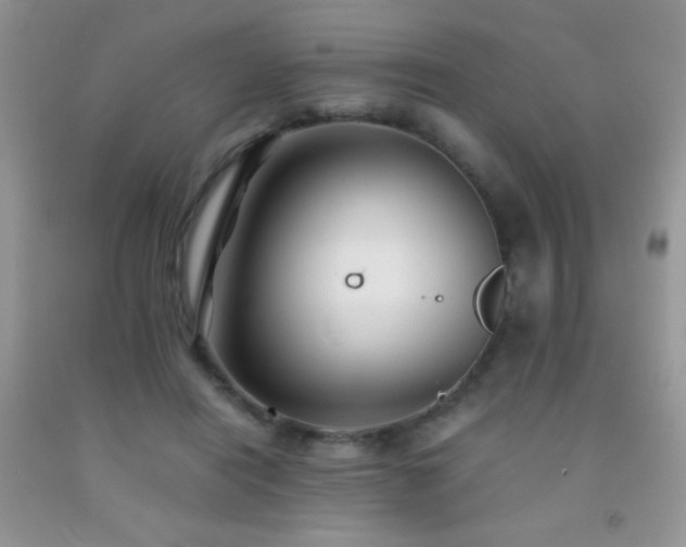 X0000092290454200709141303