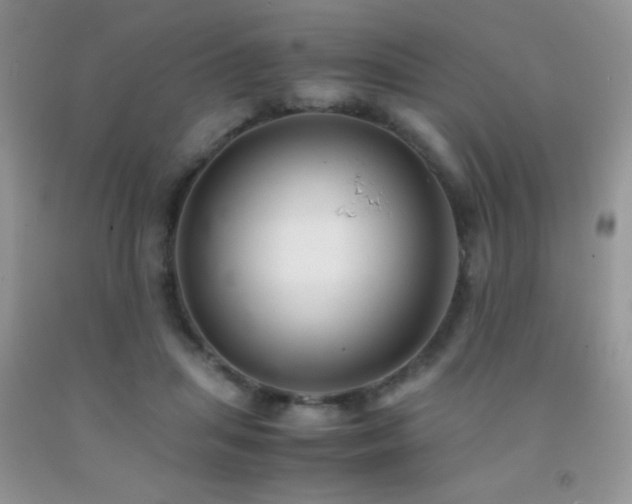 X0000092290455200709141303