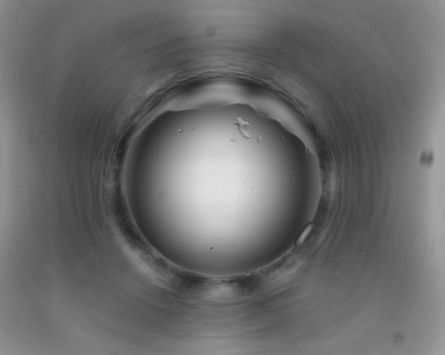 X0000092290456200709141303