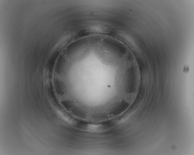 X0000092290457200709141303