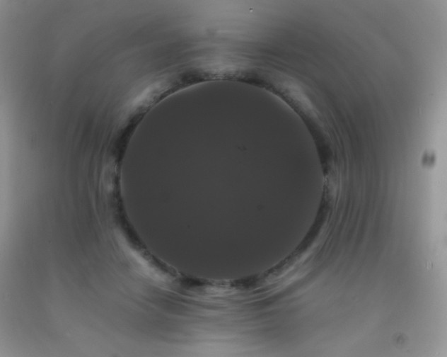 X0000092290458200709141303