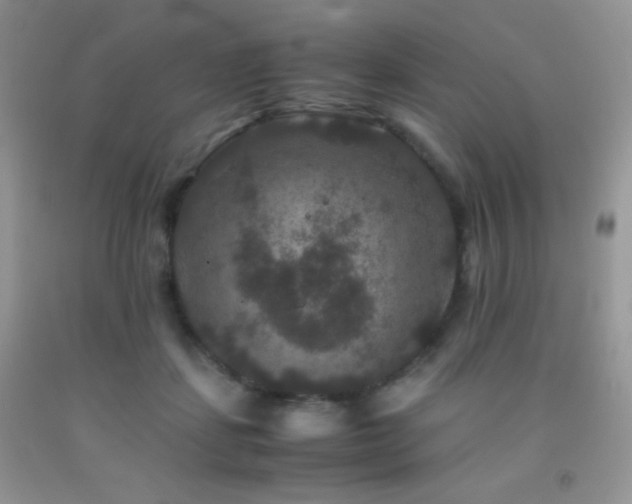 X0000092290459200709141303