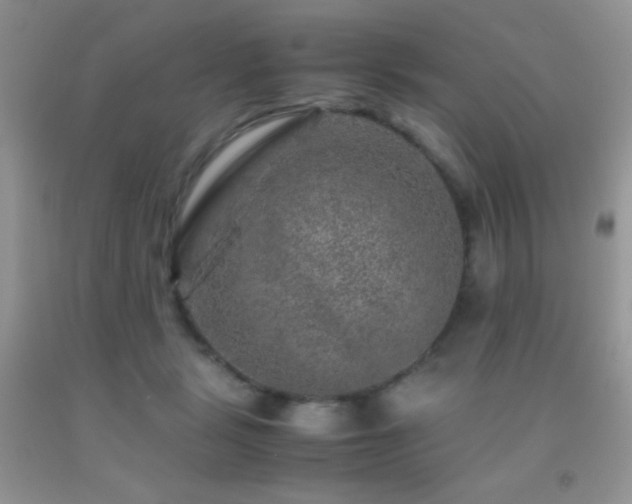 X0000092290461200709141303