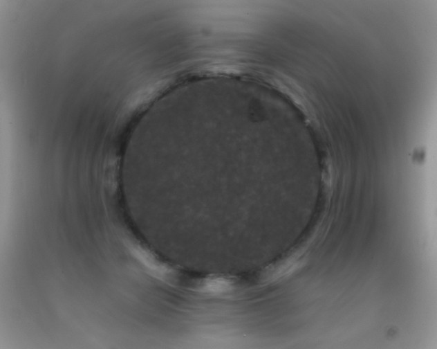 X0000092290462200709141303