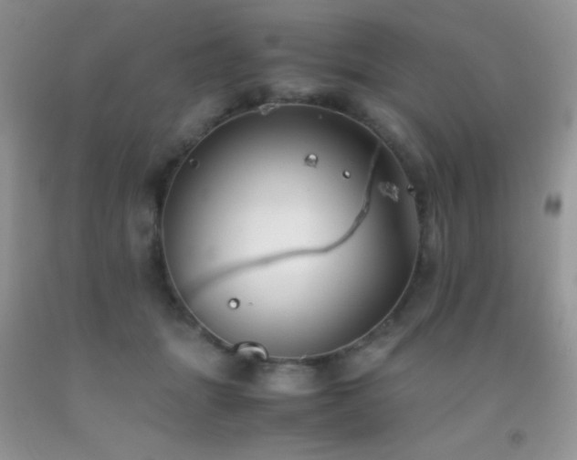 X0000092290463200709141303