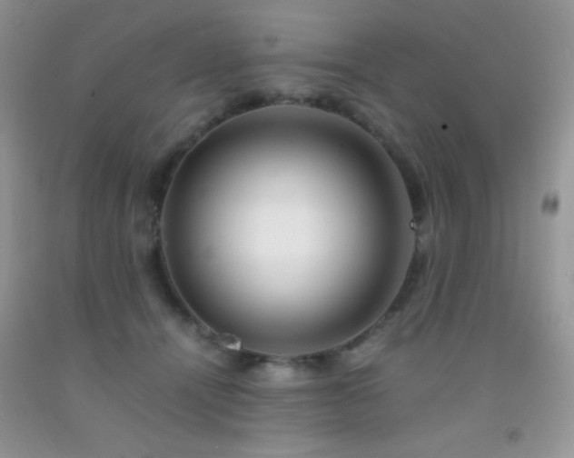 X0000092290464200709141303