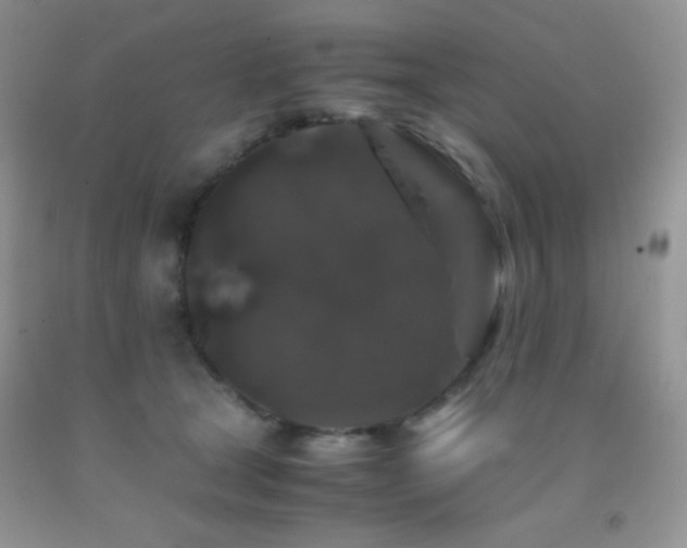 X0000092290465200709141303