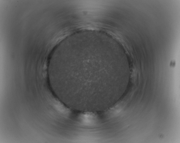 X0000092290466200709141303