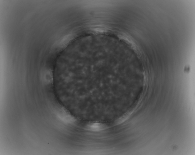 X0000092290467200709141303