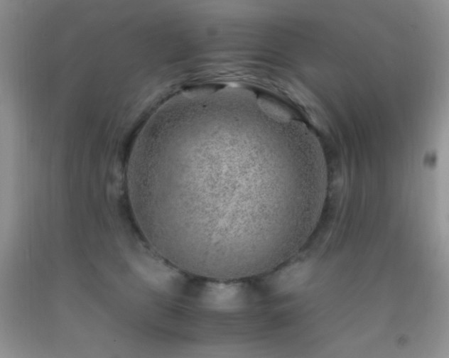 X0000092290469200709141303