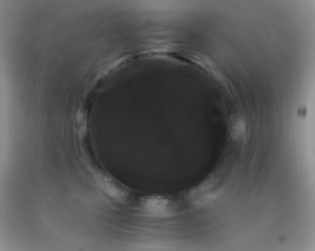 X0000092290471200709141303