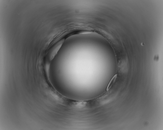 X0000092290474200709141303