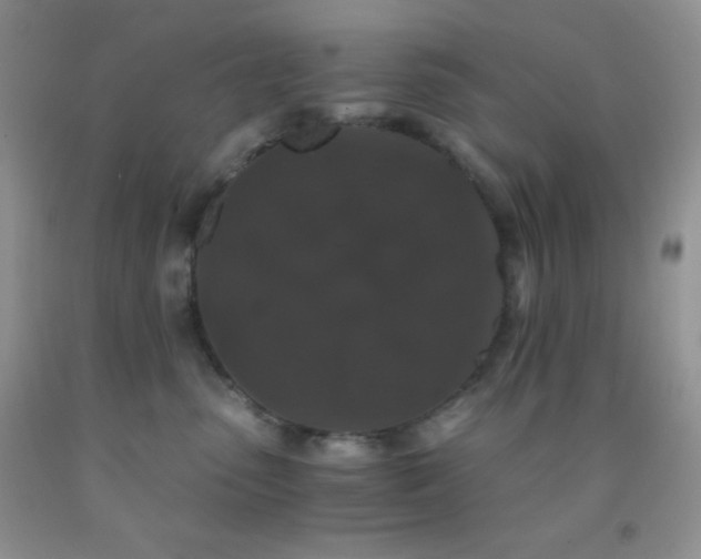 X0000092290475200709141303