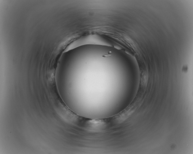 X0000092290477200709141303