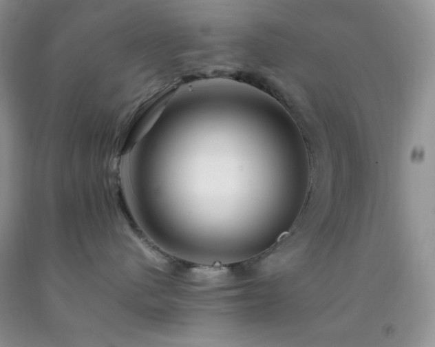 X0000092290480200709141303