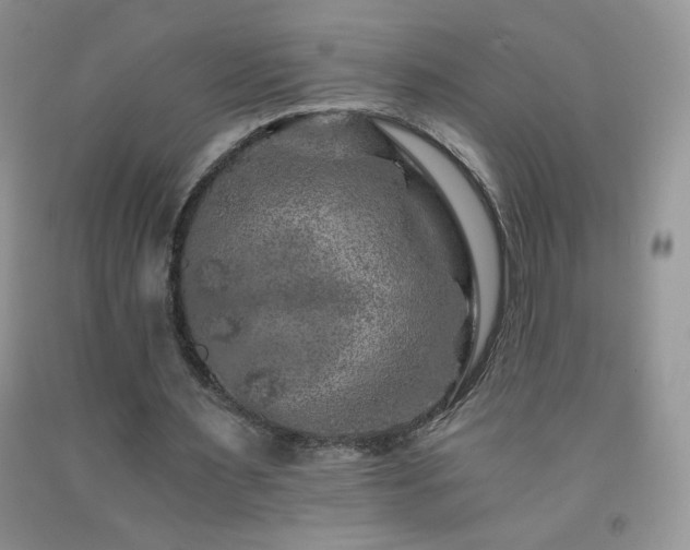 X0000092290483200709141302