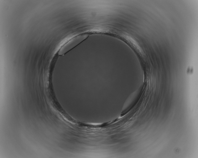 X0000092290484200709141302