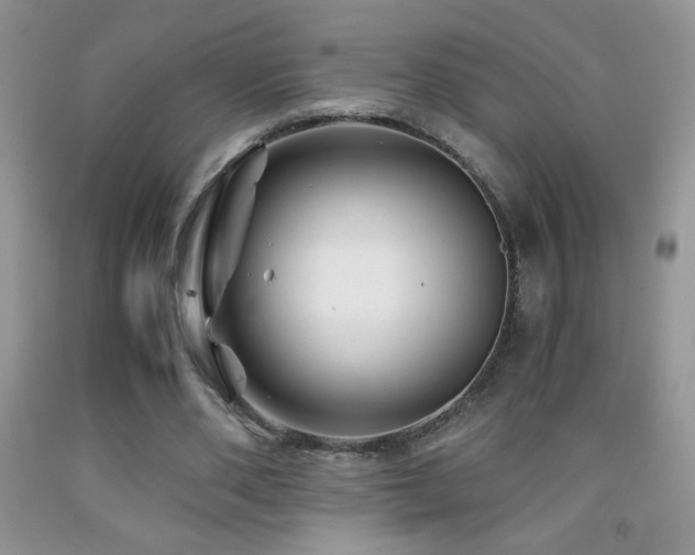 X0000092290486200709141302