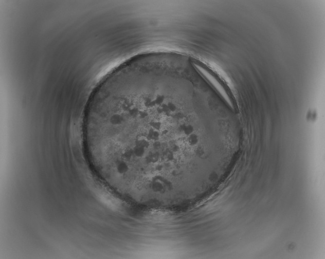 X0000092290487200709141302