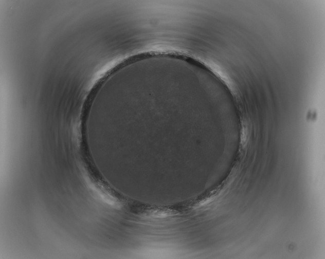 X0000092290488200709141302