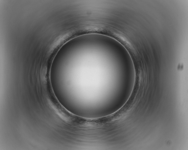 X0000092290490200709141302