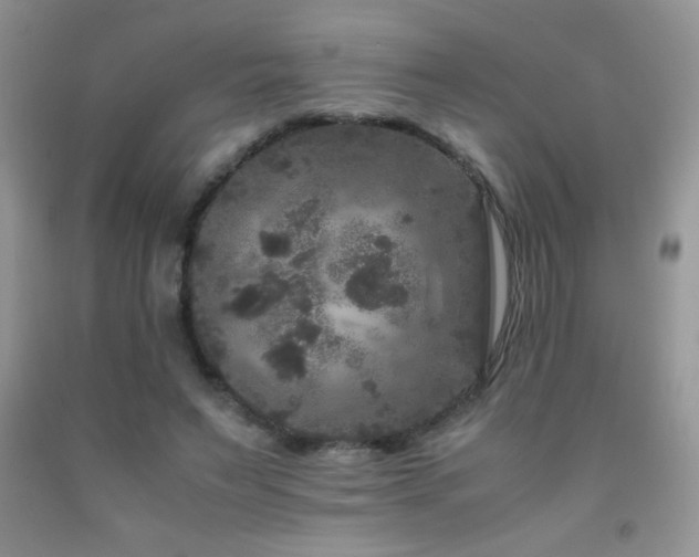 X0000092290495200709141302