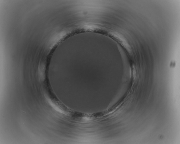 X0000092290496200709141302