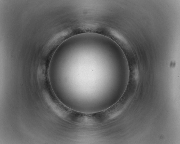 X0000092290498200709141302