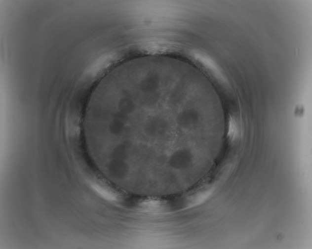 X0000092290499200709141302