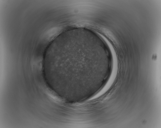 X0000092290501200709141302