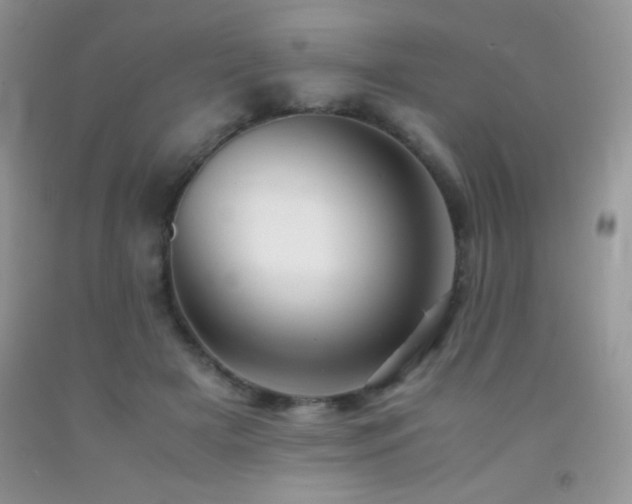 X0000092290505200709141302