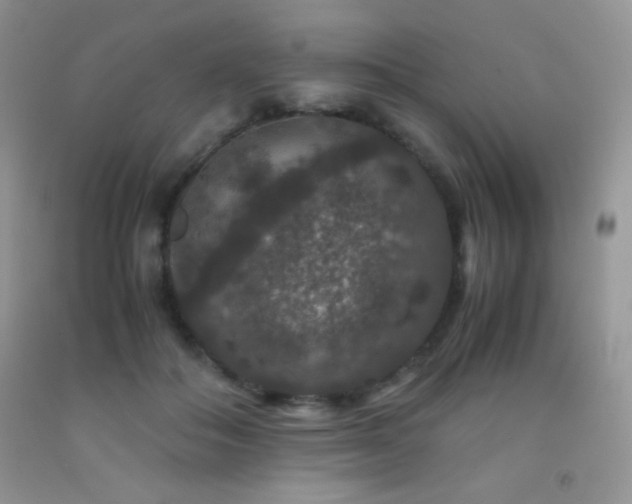 X0000092290506200709141302