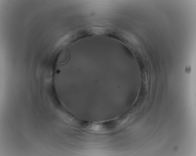 X0000092290507200709141302