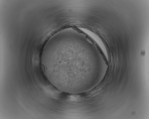 X0000092290508200709141302