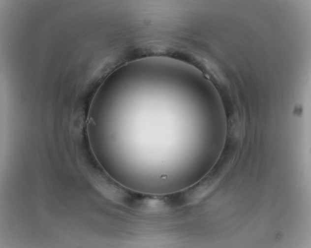 X0000092290509200709141302