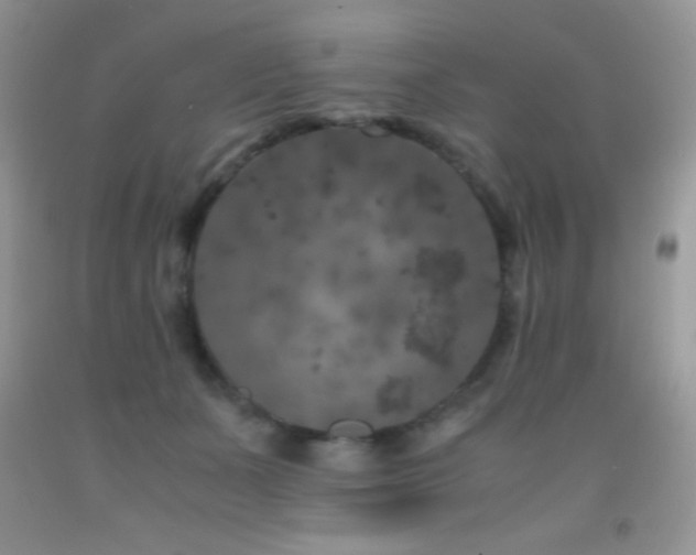 X0000092290511200709141302