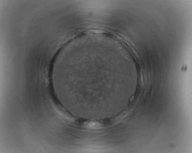 X0000092290512200709141302