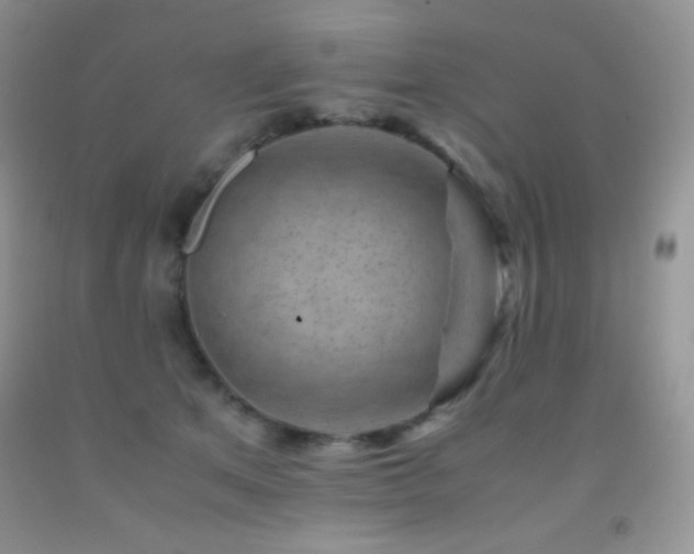 X0000092290513200709141302