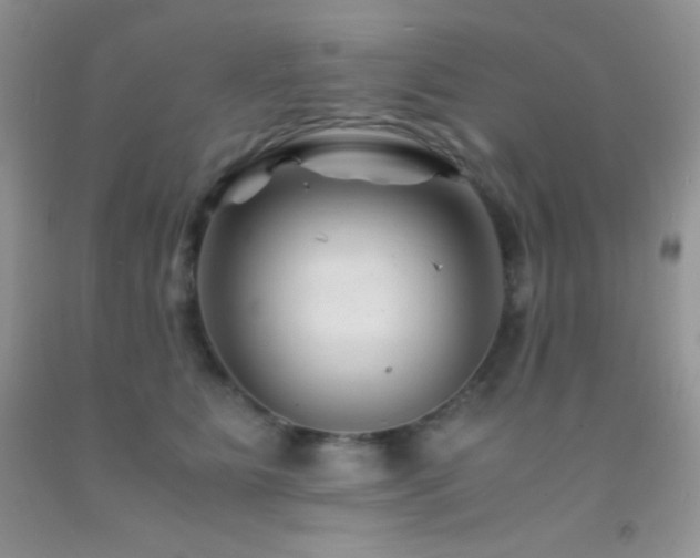 X0000092290515200709141302