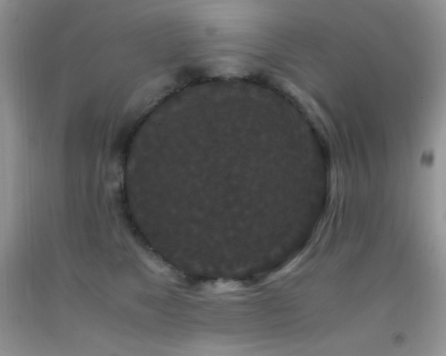 X0000092290517200709141302