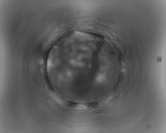 X0000092290519200709141302