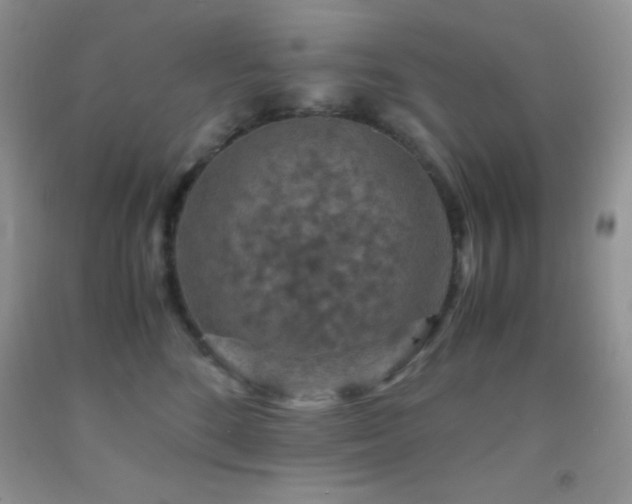 X0000092290520200709141302