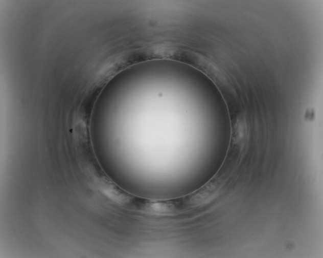 X0000092290522200709141302