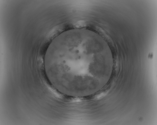 X0000092290523200709141302