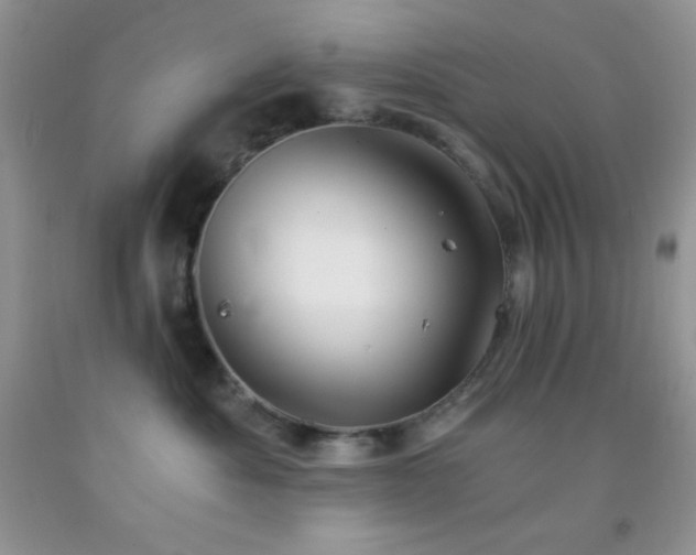 X0000092290525200709141302